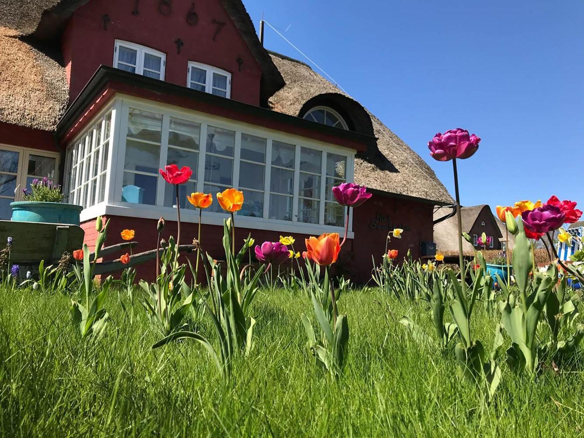 Hues Sanskiin Ferienwohnung *Driiwholt* Suddorf Exteriör bild